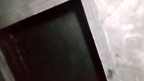 R online show from 5, 2, 2026