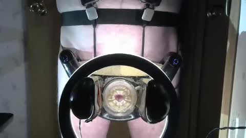 Snapshot of robodickmilker chatting on 7, 1, 2025 Robodickmilker online show from 7, 1, 2025