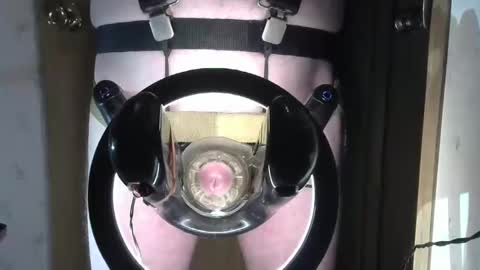 Snapshot of robodickmilker chatting on 1, 2, 2025 Robodickmilker online show from 1, 2, 2025