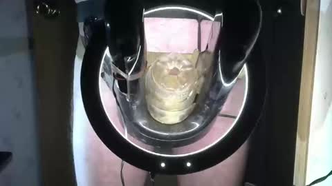 Snapshot of robodickmilker chatting on 16, 9, 2025 Robodickmilker online show from 16, 9, 2025