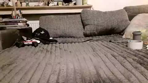 Snapshot of robsongoku23 chatting on 4, 11, 2025 Robson online show from 4, 11, 2025