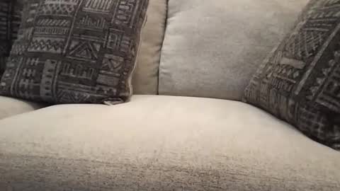 Snapshot of roger59267 chatting on 31, 10, 2025 roger59267 online show from 31, 10, 2025