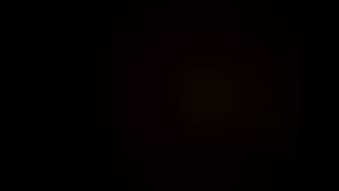 rollino83 online show from 5, 11, 2025