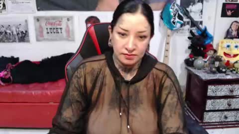 Rolly online show from 10, 12, 2024