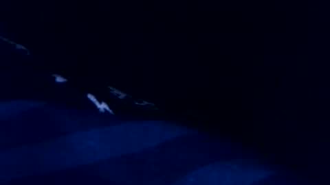 Snapshot of romain954 chatting on 3, 3, 2026 romain online show from 3, 3, 2026