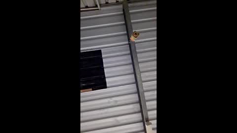 Snapshot of ronabater chatting on 11, 1, 2026 ronabater online show from 11, 1, 2026