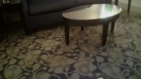 Snapshot of ronin098 chatting on 23, 4, 2026 ronin098 online show from 23, 4, 2026