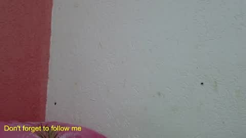 Snapshot of ronnispoto chatting on 31, 1, 2025 ronny online show from 31, 1, 2025