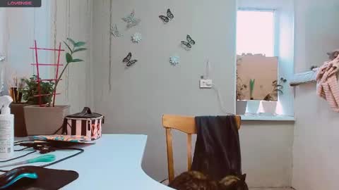 Snapshot of rosa843850 chatting on 2, 2, 2025 rosa843850 online show from 2, 2, 2025