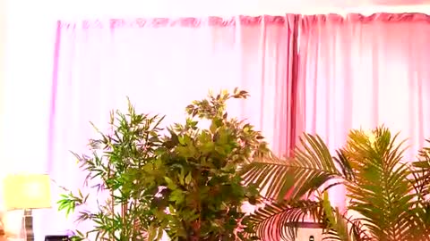 Snapshot of rosaliefleur chatting on 27, 7, 2026 Rosa online show from 27, 7, 2026