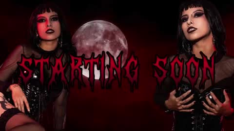 Ally online show from 14, 4, 2026