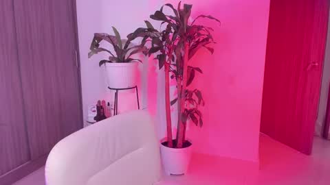 Im Ross   online show from 8, 9, 2025