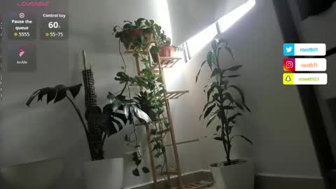 Snapshot of rossth11 chatting on 5, 4, 2026 Im Ross online show from 5, 4, 2026