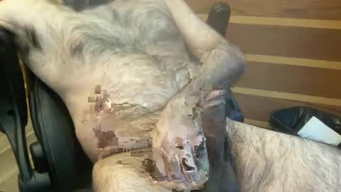 Snapshot of rotoball007 chatting on 30, 1, 2025 rotoball007 online show from 30, 1, 2025