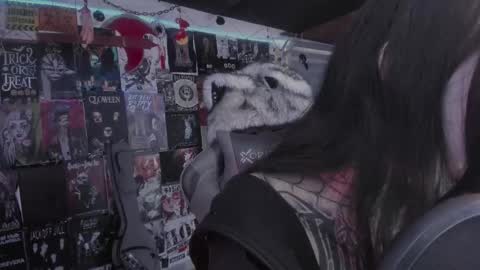 rot online show from 1, 3, 2026