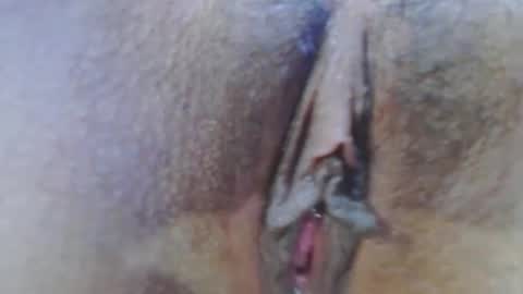 Snapshot of rousse_kitty69 chatting on 23, 12, 2024 Daniela Ferreira online show from 23, 12, 2024