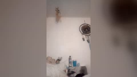 Snapshot of rraineonme chatting on 19, 6, 2026 rraineonme online show from 19, 6, 2026