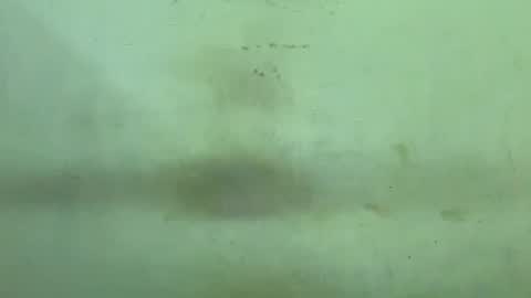 Rupali online show from 21, 12, 2025