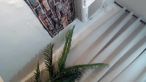 Snapshot of ryan_hyeson chatting on 26, 1, 2025 Its me Ryan online show from 26, 1, 2025