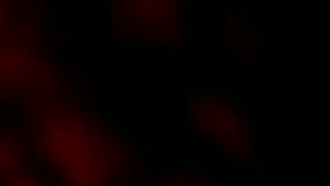 Ryan Star online show from 18, 1, 2025