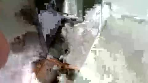 Snapshot of ryucravenmore chatting on 14, 10, 2025 ryucravenmore online show from 14, 10, 2025