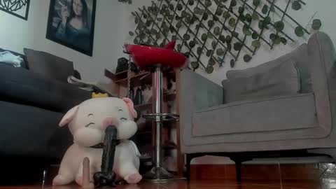 sa_anvi online show from 24, 2, 2026