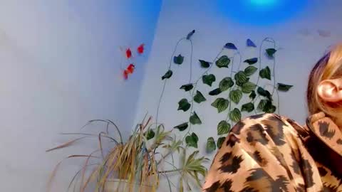 SABRI online show from 25, 3, 2026