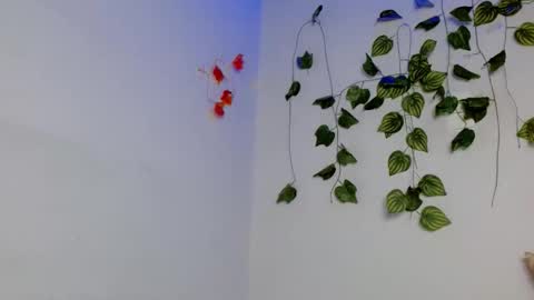 SABRI online show from 10, 4, 2026