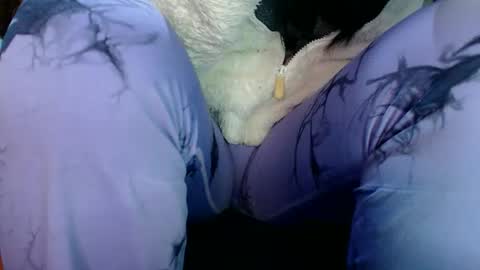 Snapshot of sahotlove1 chatting on 31, 3, 2026 Karina online show from 31, 3, 2026