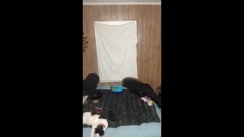 PupTwink online show from 3, 2, 2026