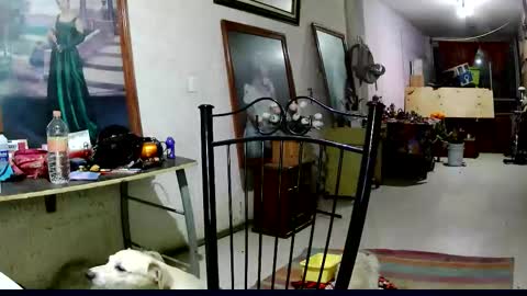 ruby  chocoholic cakeholic coffeeholic cookieholic online show from 18, 11, 2025