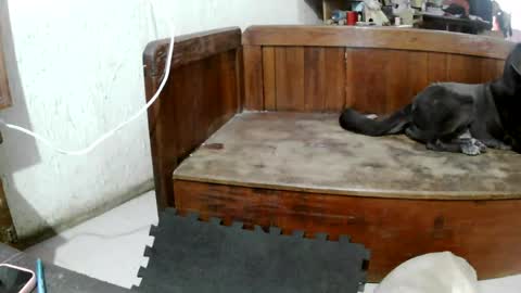 Snapshot of sailor_ruby7 chatting on 24, 4, 2026 ruby chocoholic cakeholic coffeeholic cookieholic online show from 24, 4, 2026