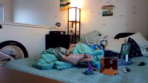 salis1981 online show from 24, 11, 2025