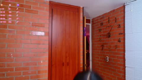 Snapshot of salome_sw chatting on 13, 12, 2024 SAMANTHA online show from 13, 12, 2024