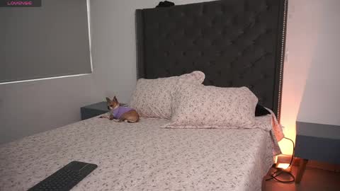 Snapshot of salomedyla chatting on 16, 4, 2026 salomedyla online show from 16, 4, 2026