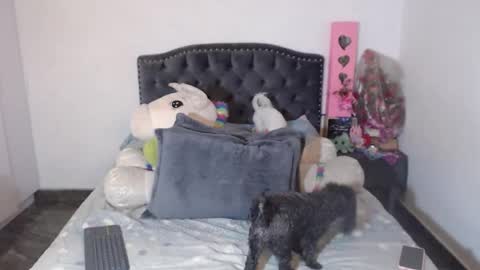 yenny online show from 6, 1, 2026