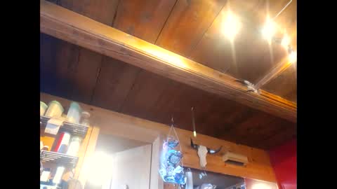 Snapshot of salsapaulus chatting on 13, 4, 2026 salsapaulus online show from 13, 4, 2026