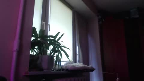 Snapshot of sam_skywalker chatting on 28, 3, 2026 sam_skywalker online show from 28, 3, 2026