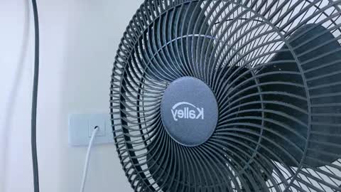   online show from 20, 11, 2025