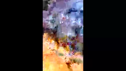 Snapshot of sameroptike67 chatting on 20, 4, 2026 sameroptike67 online show from 20, 4, 2026