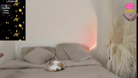 sammy_jhonson25 online show from 29, 3, 2026