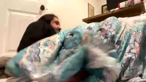 crazy runt online show from 17, 12, 2025