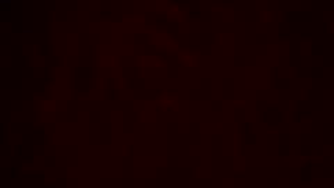 samueltal online show from 10, 2, 2026