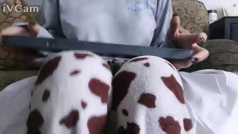 sandi online show from 4, 4, 2026