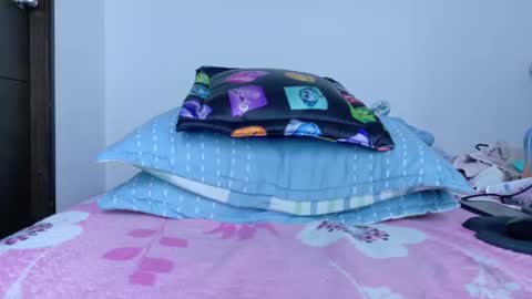 Snapshot of sandylau_ chatting on 13, 1, 2026 sandy online show from 13, 1, 2026