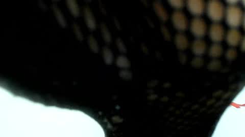 Snapshot of sara_evans01 chatting on 5, 12, 2024 sara online show from 5, 12, 2024