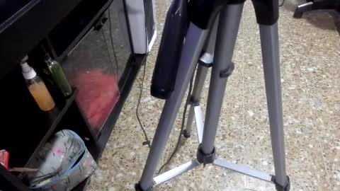 Snapshot of sara_salgado chatting on 11, 2, 2026 sara_salgado online show from 11, 2, 2026