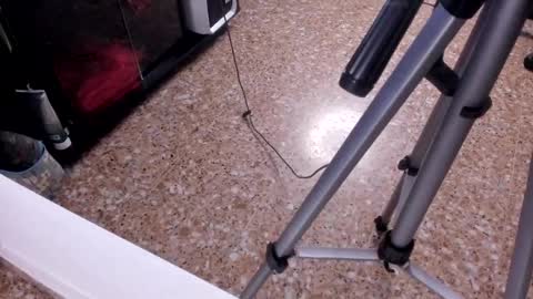 Snapshot of sara_salgado chatting on 23, 2, 2026 sara_salgado online show from 23, 2, 2026