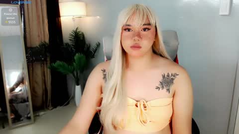 MARIO LABO online show from 10, 12, 2024