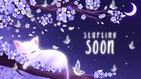 Sassy Sami Kittyn online show from 3, 11, 2025